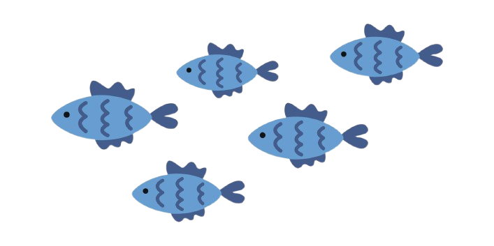 Little Gold Fish Children’s Dentistry Little Gold Fish Children’s Dentistry