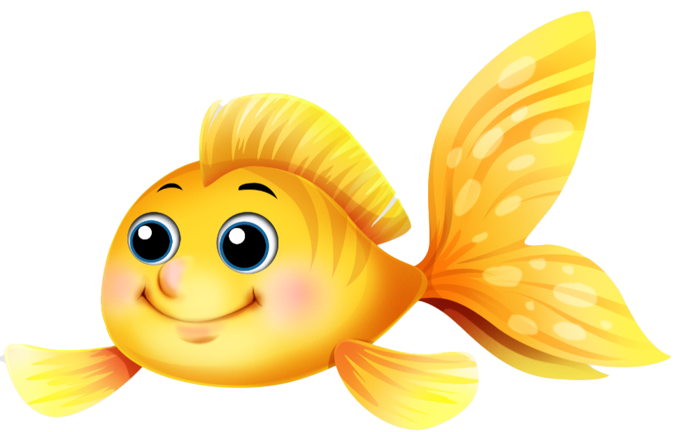 Little Gold Fish Children’s Dentistry Little Gold Fish Children’s Dentistry
